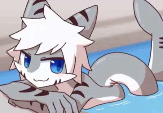 Tiger Shark thumbnail