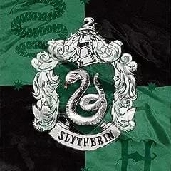Your Own Slytherin Story thumbnail