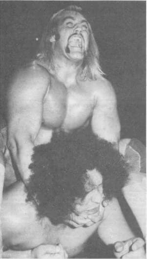1980s WWF Questions Only thumbnail