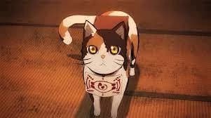 Life from a 猫's eye view. thumbnail