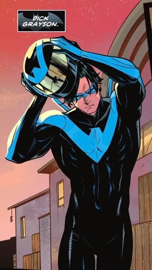 🦇Nightwing 🦇 (Dick Grayson)  thumbnail