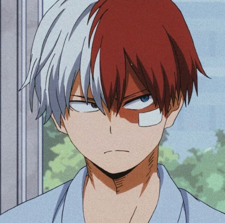 Shoto Todoroki thumbnail