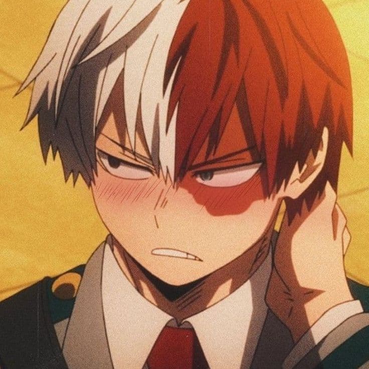 Shoto Todoroki thumbnail