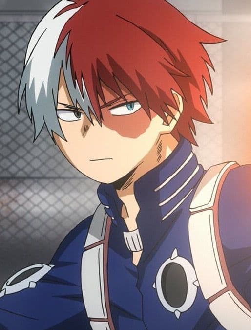 Shoto Todoroki thumbnail