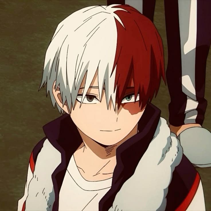 Shoto Todoroki thumbnail