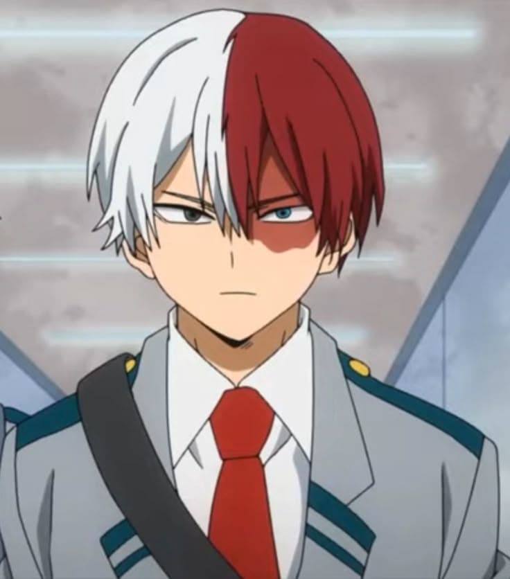 Shoto Todoroki thumbnail