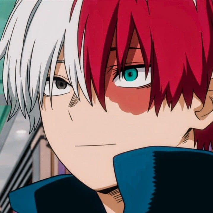 Shoto Todoroki thumbnail