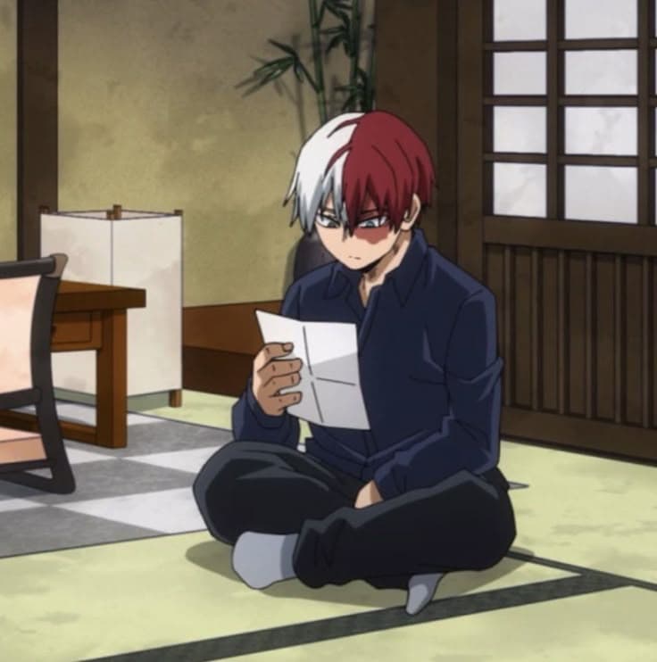 Shoto Todoroki thumbnail