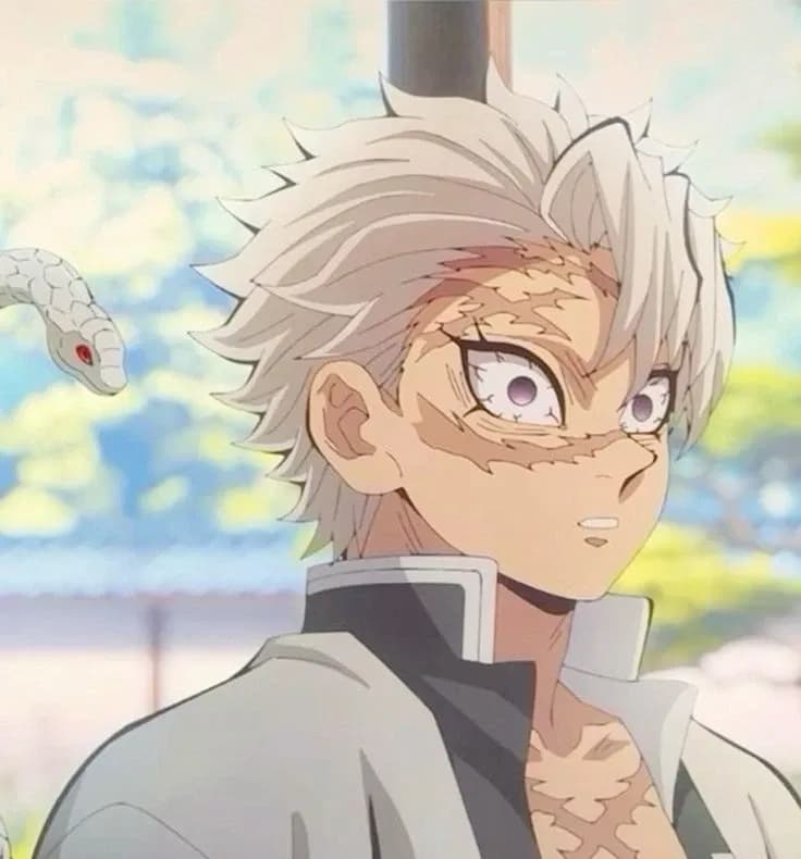 Sanemi Shinazugawa thumbnail
