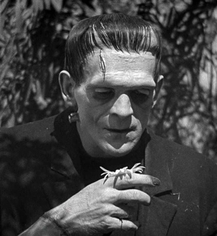 Frankenstein thumbnail