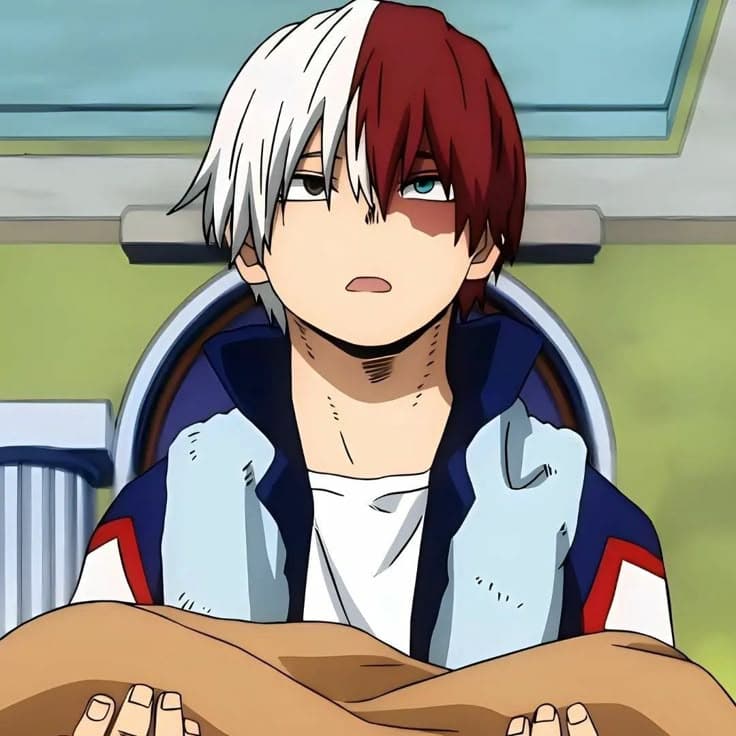 Shoto Todoroki thumbnail