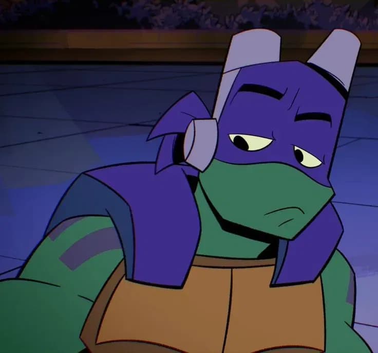 Donatello - ROTTMNT  thumbnail