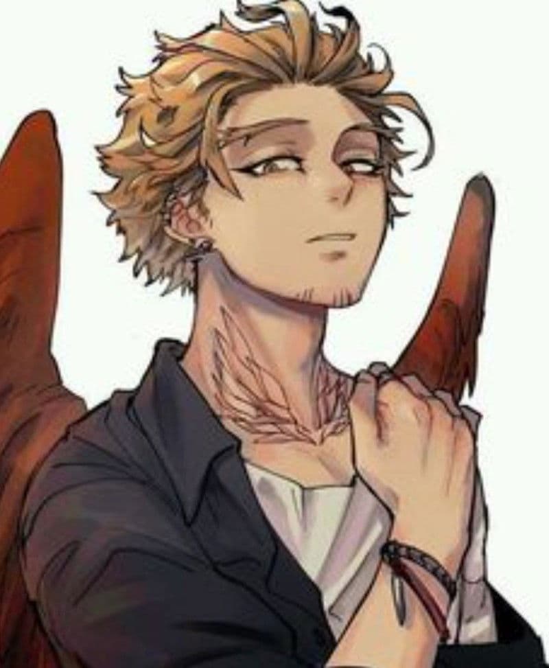 Hawks thumbnail