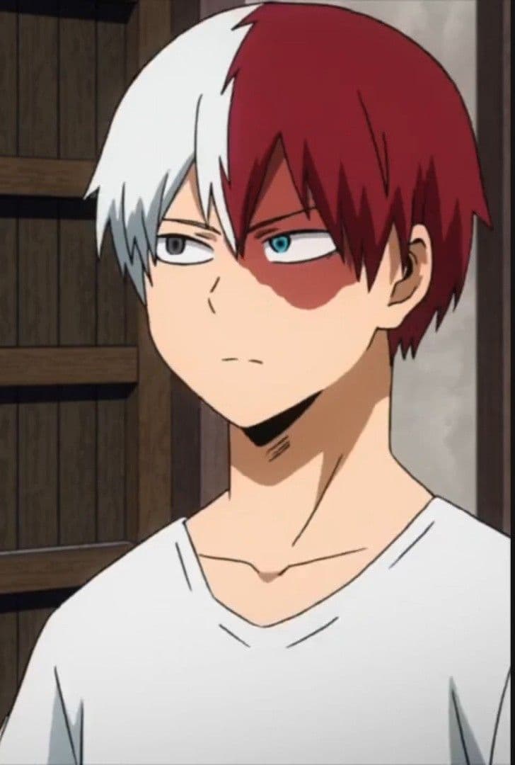 Shoto Todoroki thumbnail