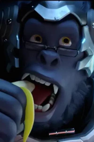 Winston thumbnail