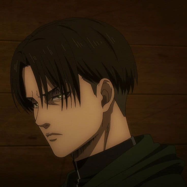 Levi Ackerman  thumbnail