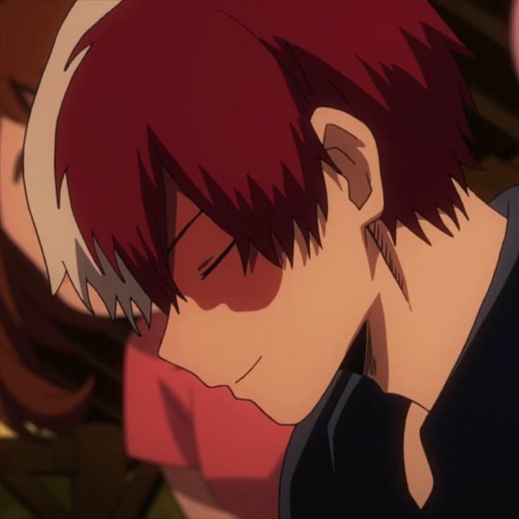 Shoto Todoroki thumbnail