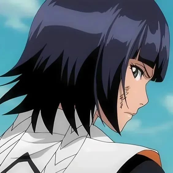Soi fon thumbnail
