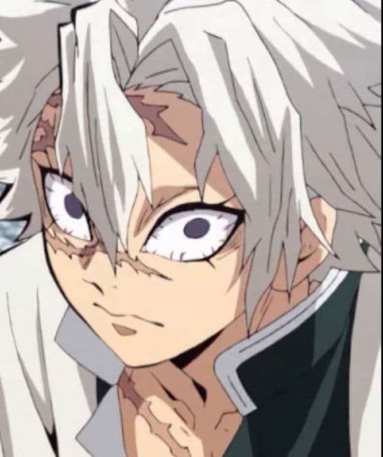 Sanemi Shinazuagawa thumbnail