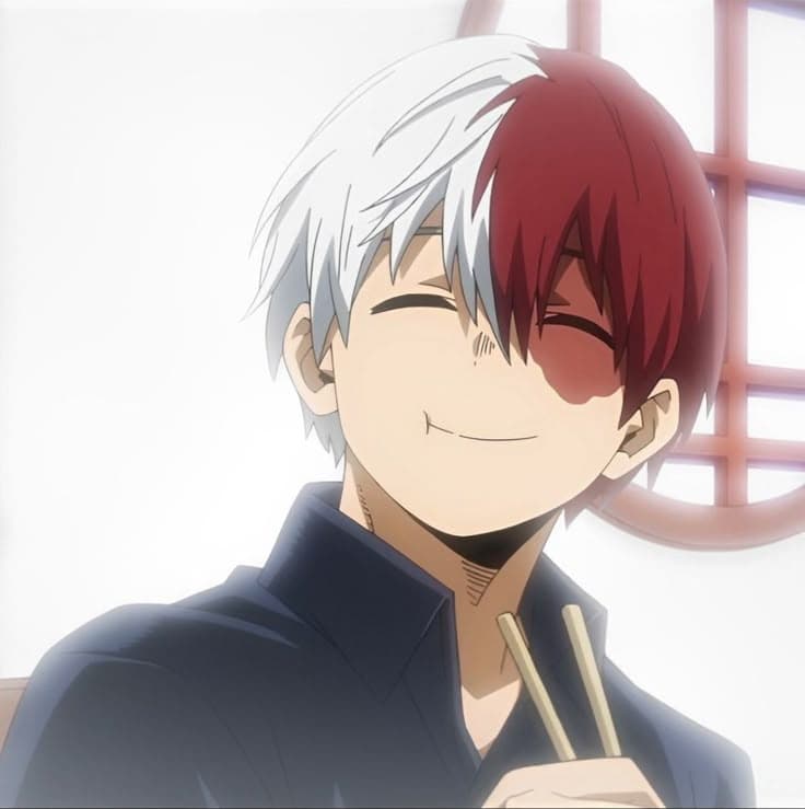 Shoto Todoroki thumbnail