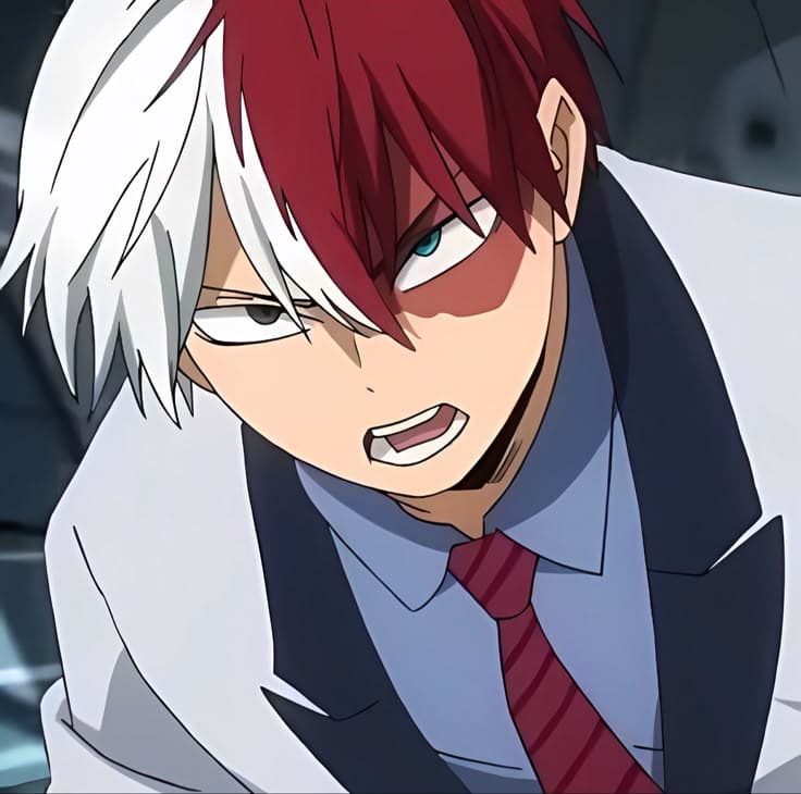 Shoto Todoroki thumbnail