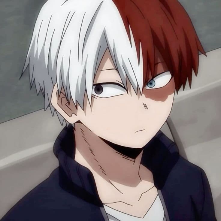 Shoto Todoroki thumbnail