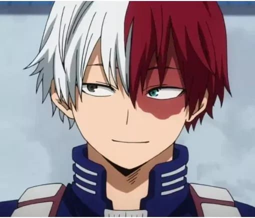 Shoto Todoroki thumbnail