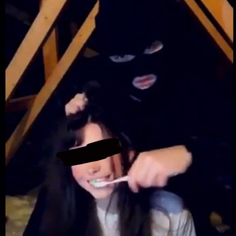 Intruder ! thumbnail