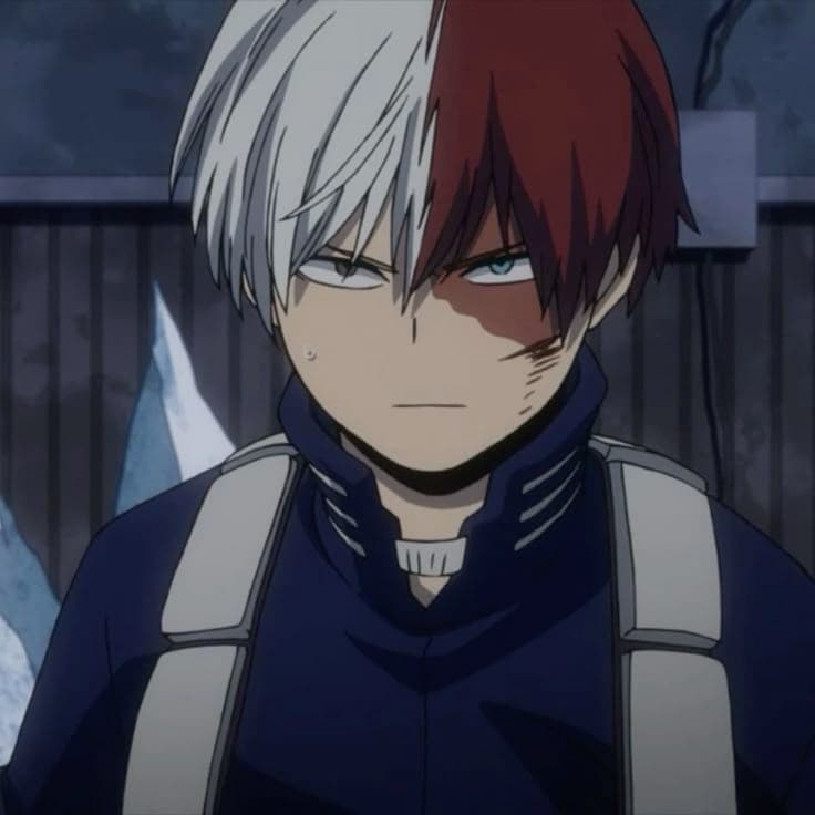 Shoto Todoroki thumbnail