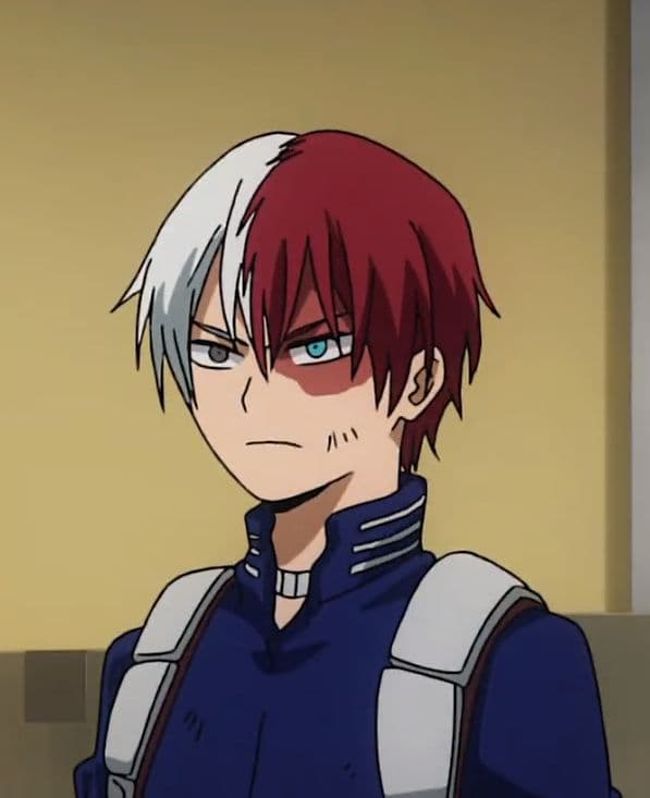 Shoto Todoroki thumbnail