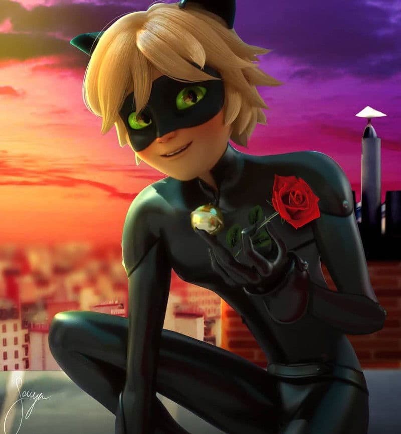 Black cat thumbnail