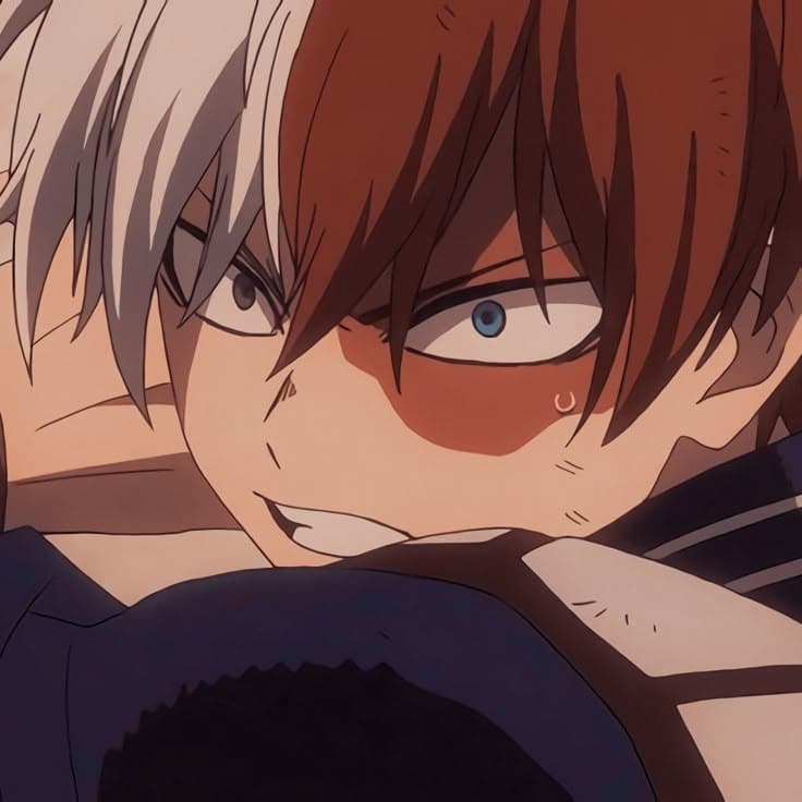 Shoto Todoroki thumbnail