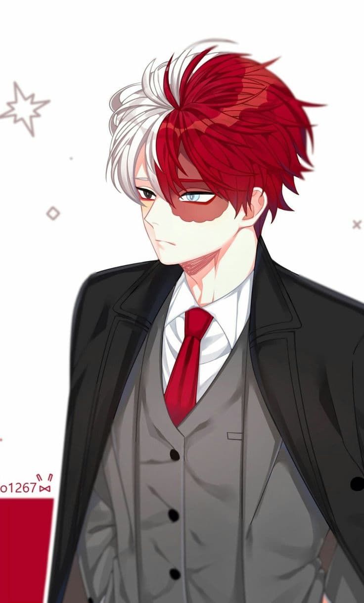 Shoto Todoroki thumbnail