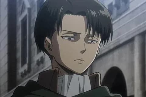 Levi Ackerman  thumbnail