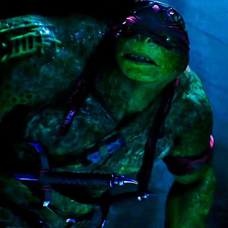 Raphael thumbnail