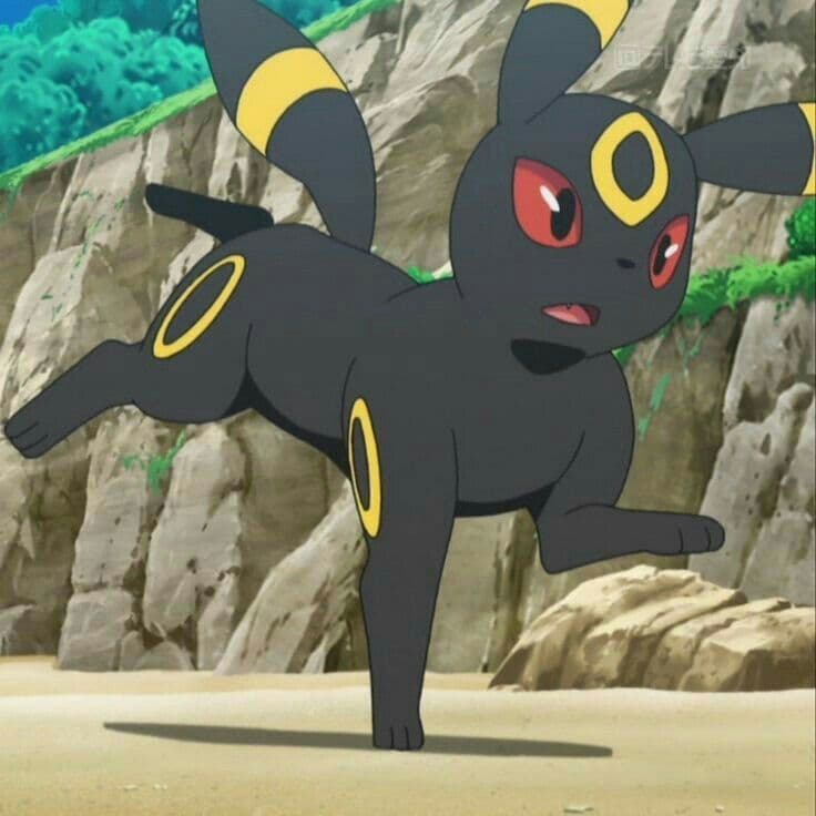 Umbreon  thumbnail