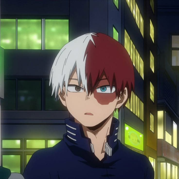 Shoto Todoroki thumbnail