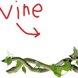 Vyne 1.3 thumbnail