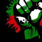 palestine news writer thumbnail