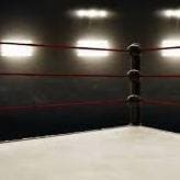 Pro-Wrestling Simulator  thumbnail