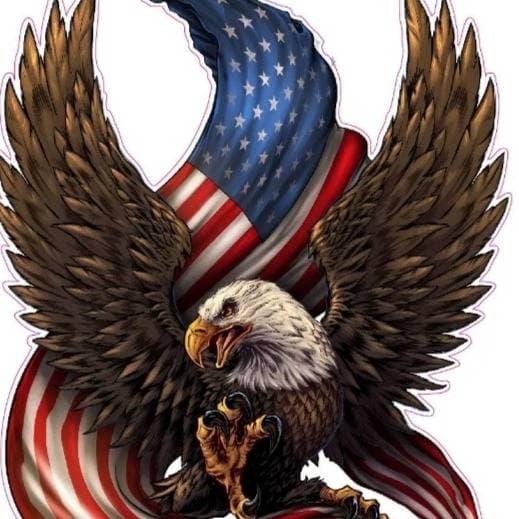 DemocraticGPT thumbnail