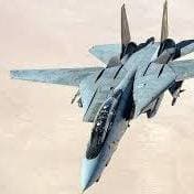 F-14 Tomcat (NSFW) thumbnail