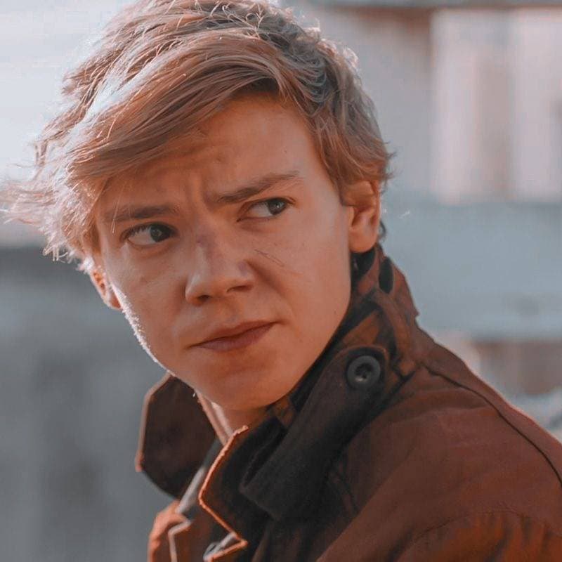 Newt thumbnail