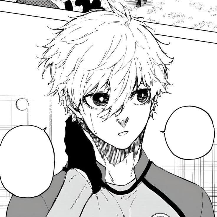Seishiro nagi thumbnail
