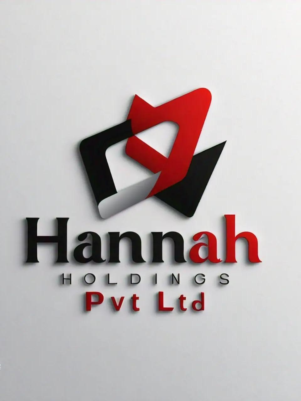 HANNAH HOLDINGS Pvt Ltd thumbnail