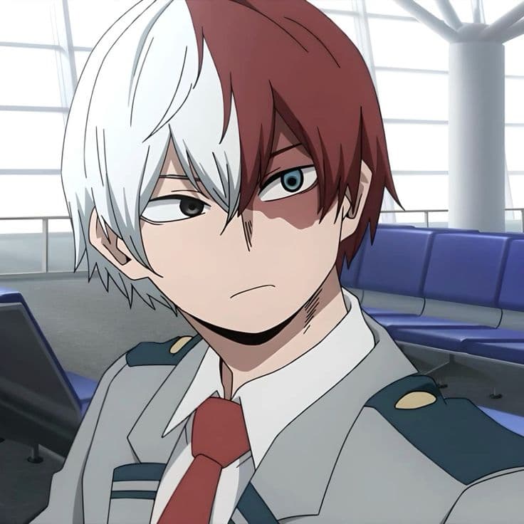 Shoto Todoroki thumbnail