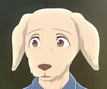 Jack the Labrador - Beastars thumbnail