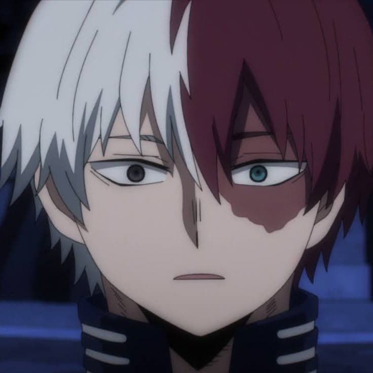 Shoto Todoroki thumbnail