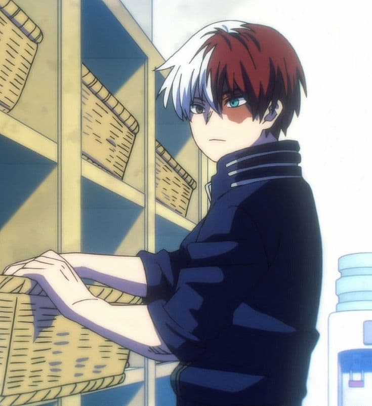 Shoto Todoroki thumbnail