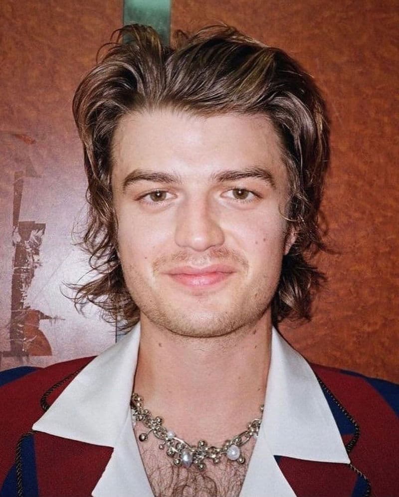 Steve Harrington thumbnail